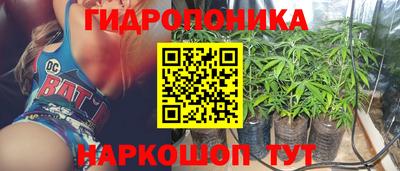 PSILOCYBIN Кулебаки