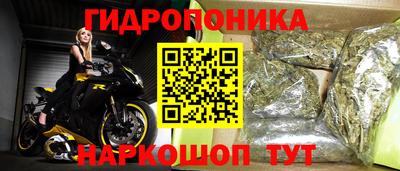 шишки Лесосибирск