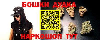 шишки Лесосибирск