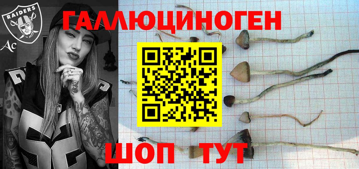 Гусиноозёрск  Галлюциногенные грибы мухоморы  Вход с VPN  Псилоцибиновые грибы Cubensis 